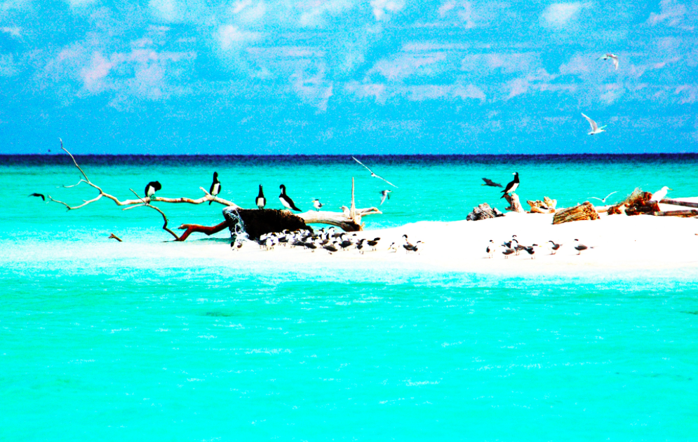 new balance boracay v2 kinderen bluebird