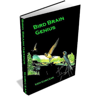 Bird Brain Genius