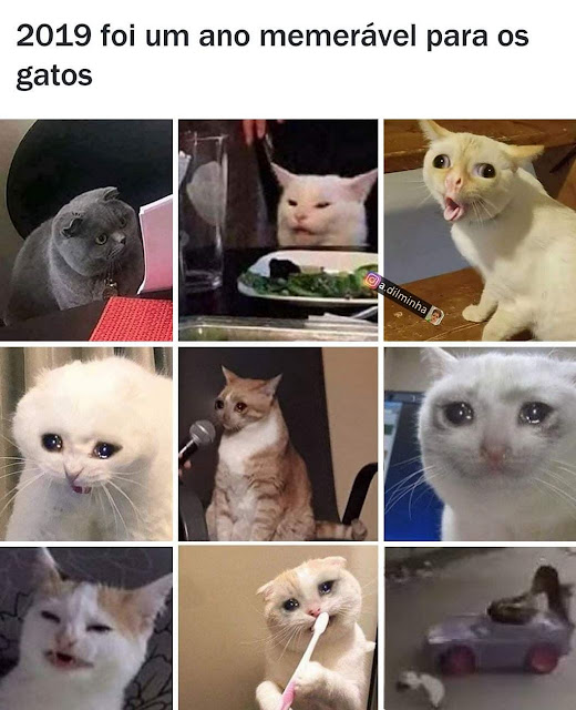 Memes+engra%25C3%25A7ados++%25284%2529.j