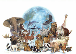 Estos son algunos de los animales que forman este mundo.