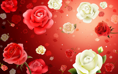 Hq colorful rose wallpaper - red-pink-roses-wallpapers