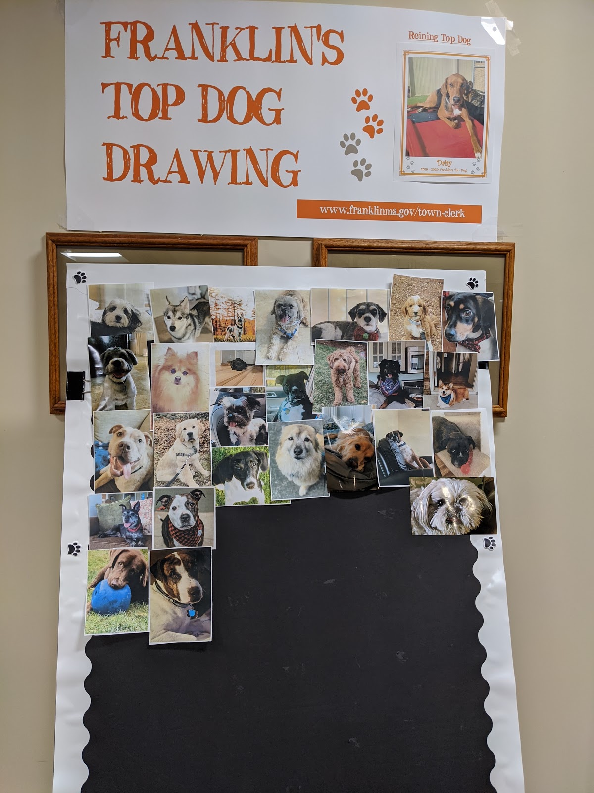 Franklin Matters Enter Franklin's Top Dog Drawing