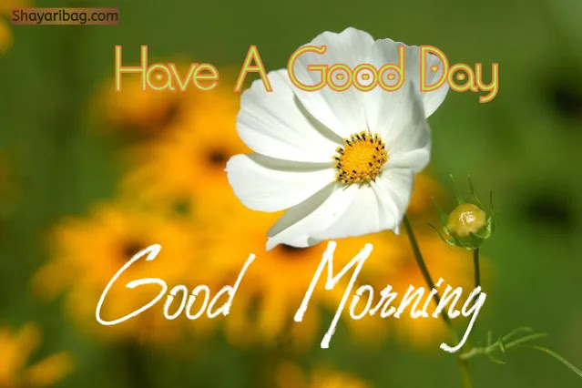 Good Morning with Flowers Good Morning with Flowers