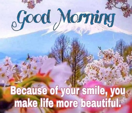 Good Morning Quotes Download || Good morning Quotes download for WhatsApp Good Morning Quotes Download || Good morning Quotes download for WhatsApp