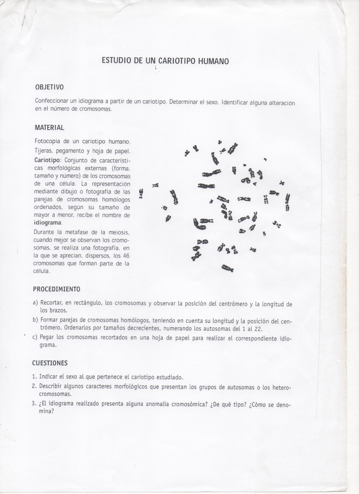 BIOLOG A Y GEOLOG A IES ARICEL 2016 2017 LABORATORIO