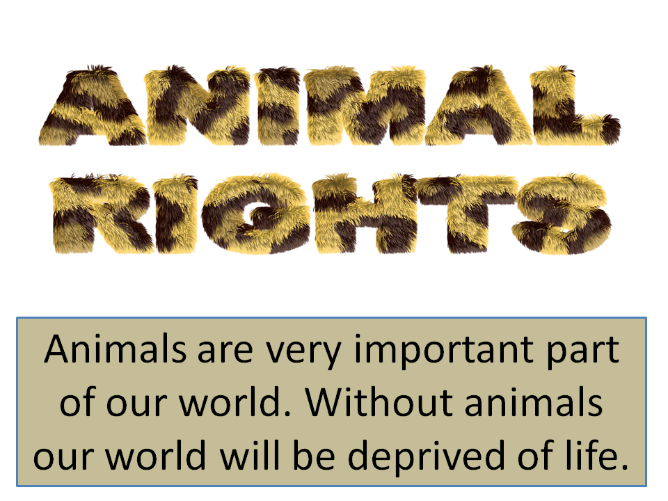 Animal rights A global issue