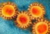 Virus causes Covid-19: Imaginary and Theoretical Virus ? 