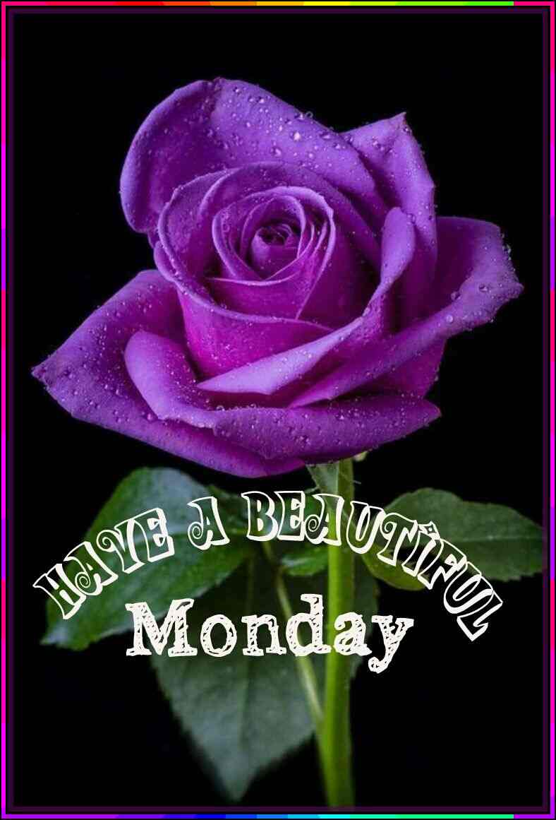 have a beautiful monday