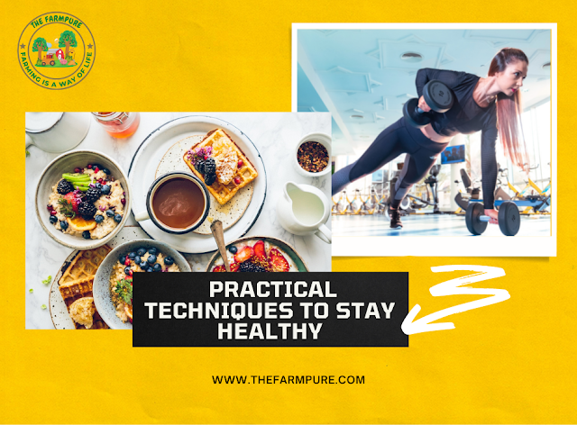 Practical Techniques To Stay Healthy Practical Techniques To Stay Healthy