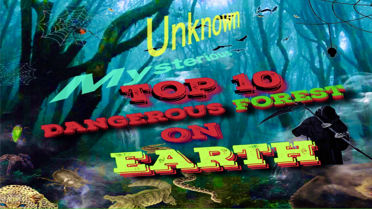 The most dangerous forest in the world Info Update MK