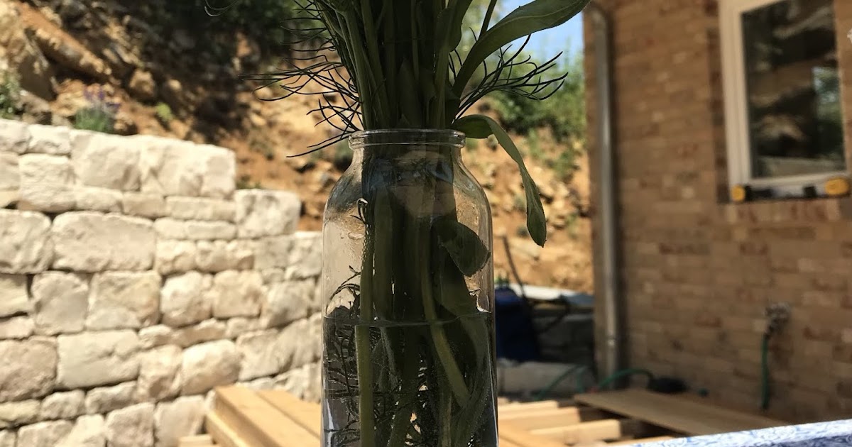 Sommerzeit Ist Gartenzeit