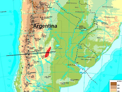 Argentina nativa Remolinera chocolate (Cinclodes olrogi)