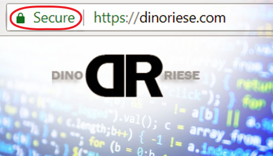 DinoRiese.com with a circle around the SSL Secure Padlock symbol. Code overlaid along with the Dino Riese logo. | DinoRiese.com