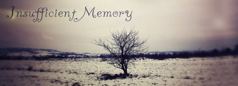 Insufficient Memory