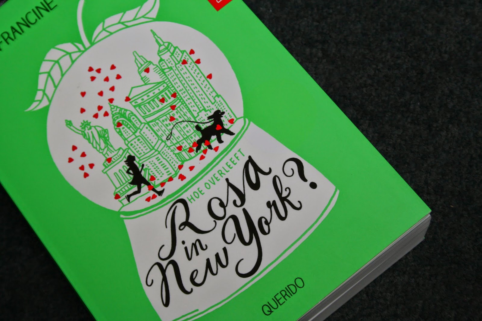 Fourteens Book review Hoe overleeft Rosa in New York?