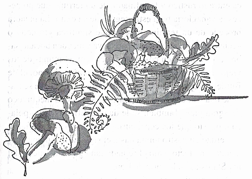 Libros de cocina y gastronomía: Diccionario del amante de la cocina