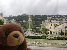 Teddy Bear in Haifa,Israel