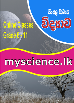 Online Science Classes - Sinhala Medium