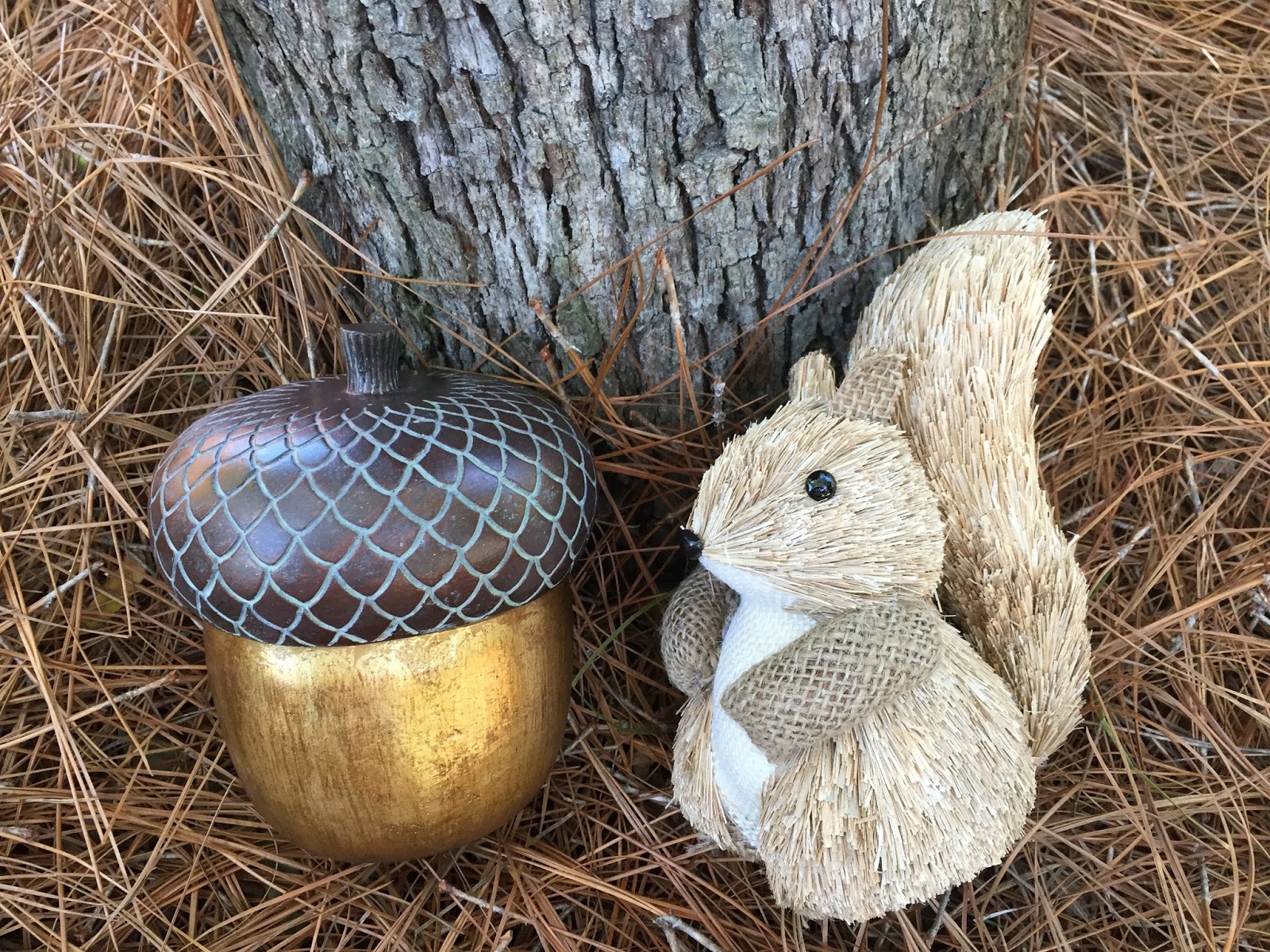 SQUIRRELS AND SCARECROWS Dr. Jean & Friends Blog