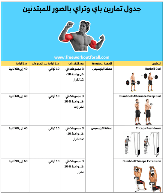 جدول تمارين باي وتراي بالصور للمبتدئين