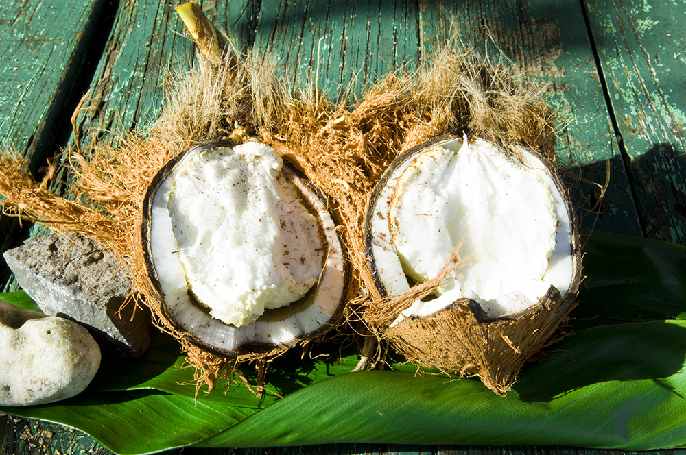 Coconut перевод на русский. Кокос плод костянка. Кокос строение плода. Плод кокосовой пальмы. Кокос на дереве.