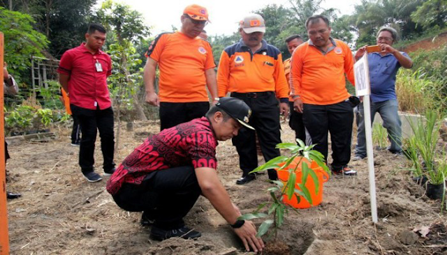 Walikota Pematang Siantar Menanam Pohon pada Peringatan HKBN 2019 di Tanjung Pinggir 