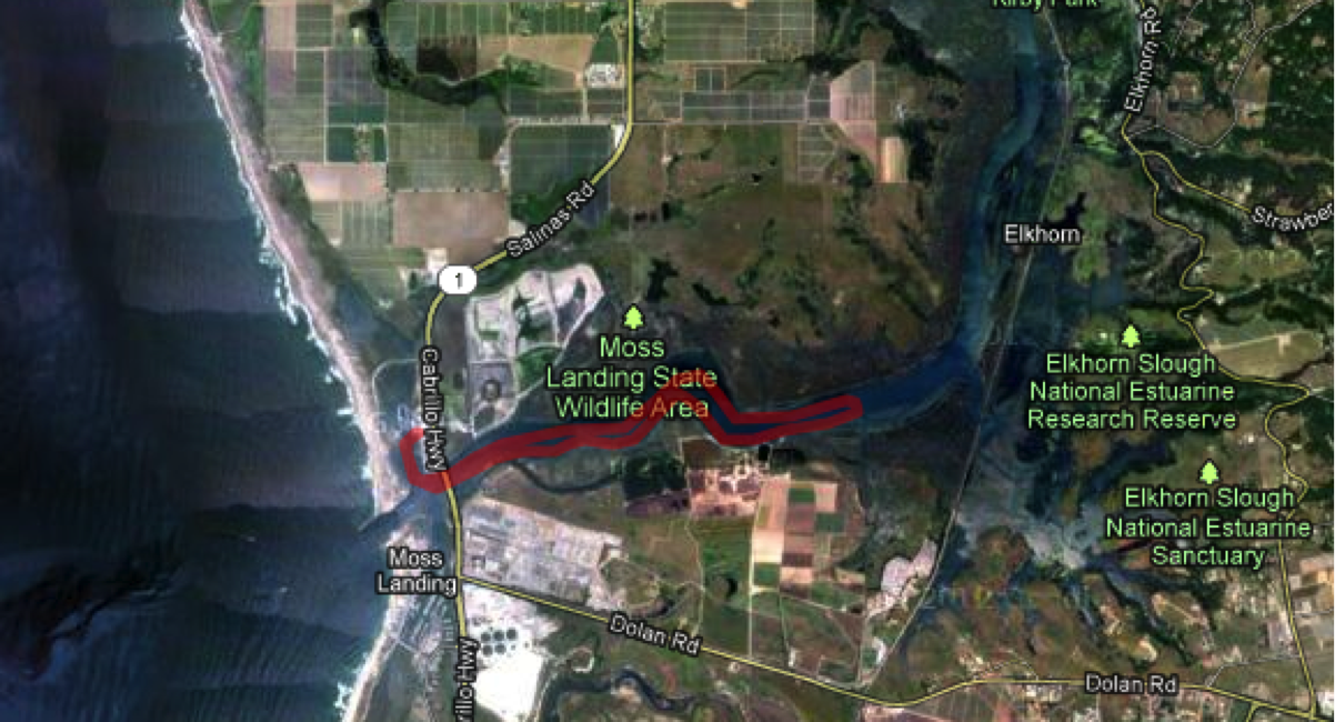 the naked kayaker Fighting the Tide at Elkhorn Slough, Monterey Bay