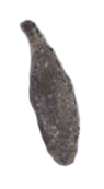 Traça das Roupas (Tineola uterella)