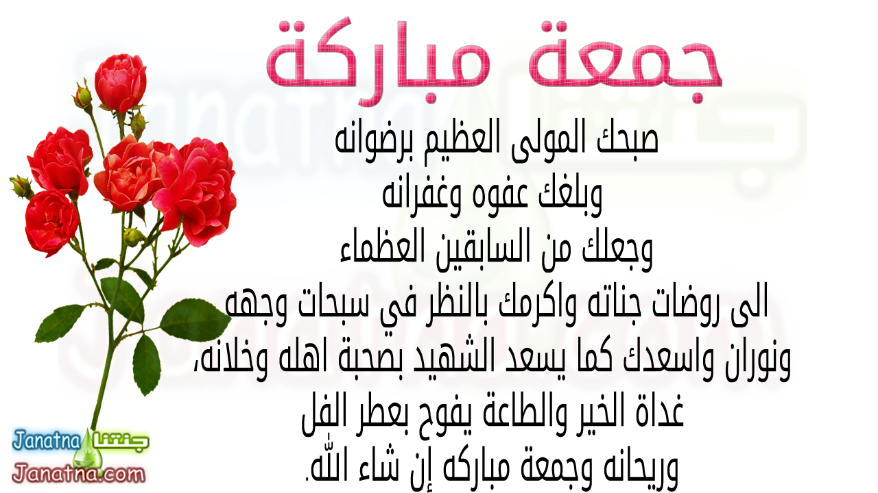 صبحك المولى العظيم برضوانه وبلغك عفوه وغفرانه وجعلك من السابقين العظماء الى روضات جناته واكرمك بالنظر في سبحات وجهه ونوران واسعدك كما يسعد الشهيد بصحبة اهله وخلانه، غداة الخير والطاعة يفوح بعطر الفل وريحانه وجمعة مباركه إن شاء الله.