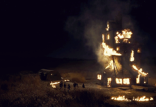 DefinitiveMasculineCygnet-size_restricte