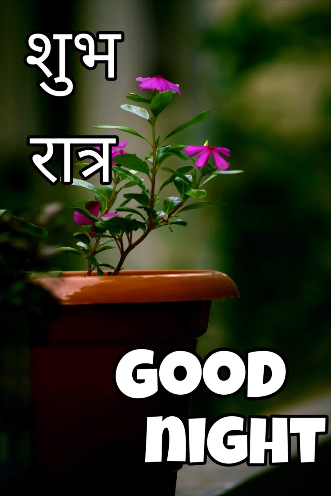 Good night hindi sayari Images for HD free download,status for WhatsApp