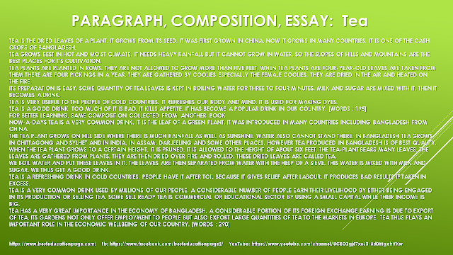 PARAGRAPH, COMPOSITION, ESSAY:  Tea  #BESTEDUCATIONPAGE