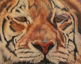 "Wild and Free", tiger portrait