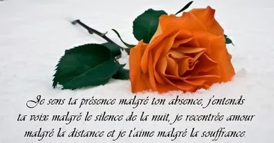Message D Amour Bonjour
