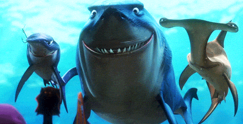Gambar Ikan Nemo Bergerak Septian Junior Blog Seru Laut Lepas