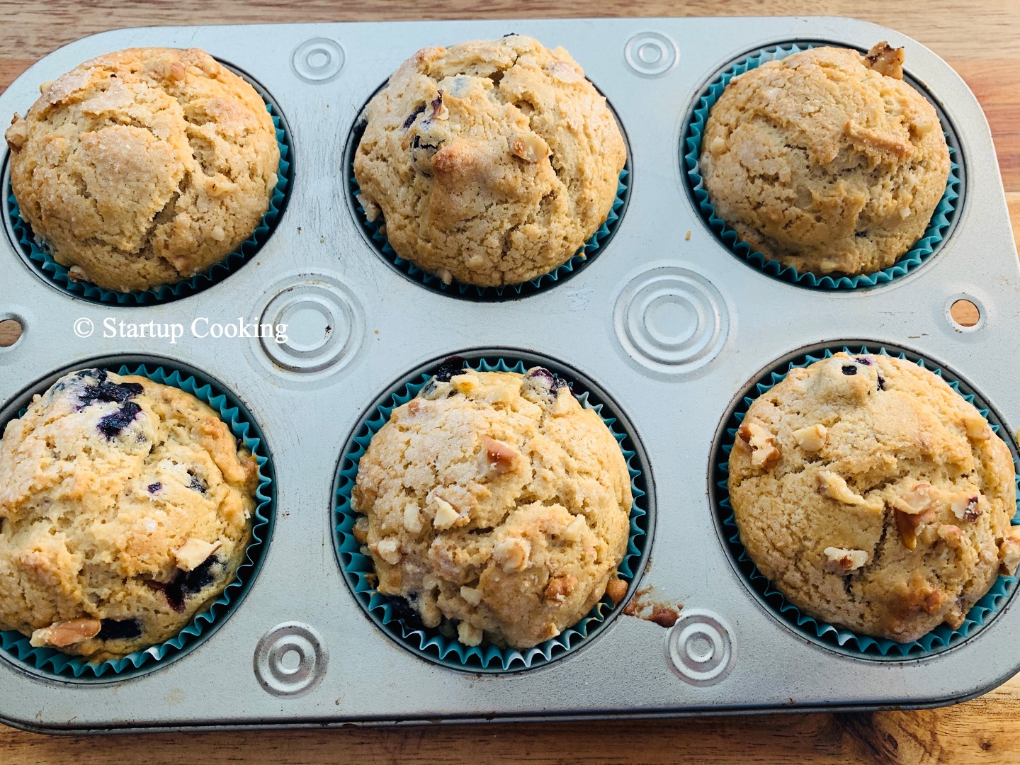Blueberry Walnut Muffin Blueberry Nut Muffin Recipe Startup Cooking