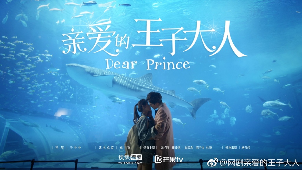 Dear Prince Drama Vostfr Ddl