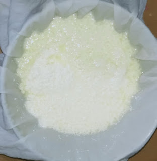 Rasgulla recipe Rasgulla recipe