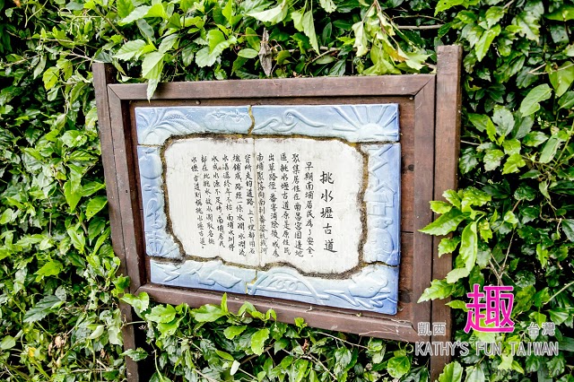 新竹縣北埔鄉。田野情趣南埔村生態體驗行 - 第29張圖