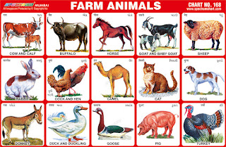 Farm Animals Chart contains images of various farm animals
