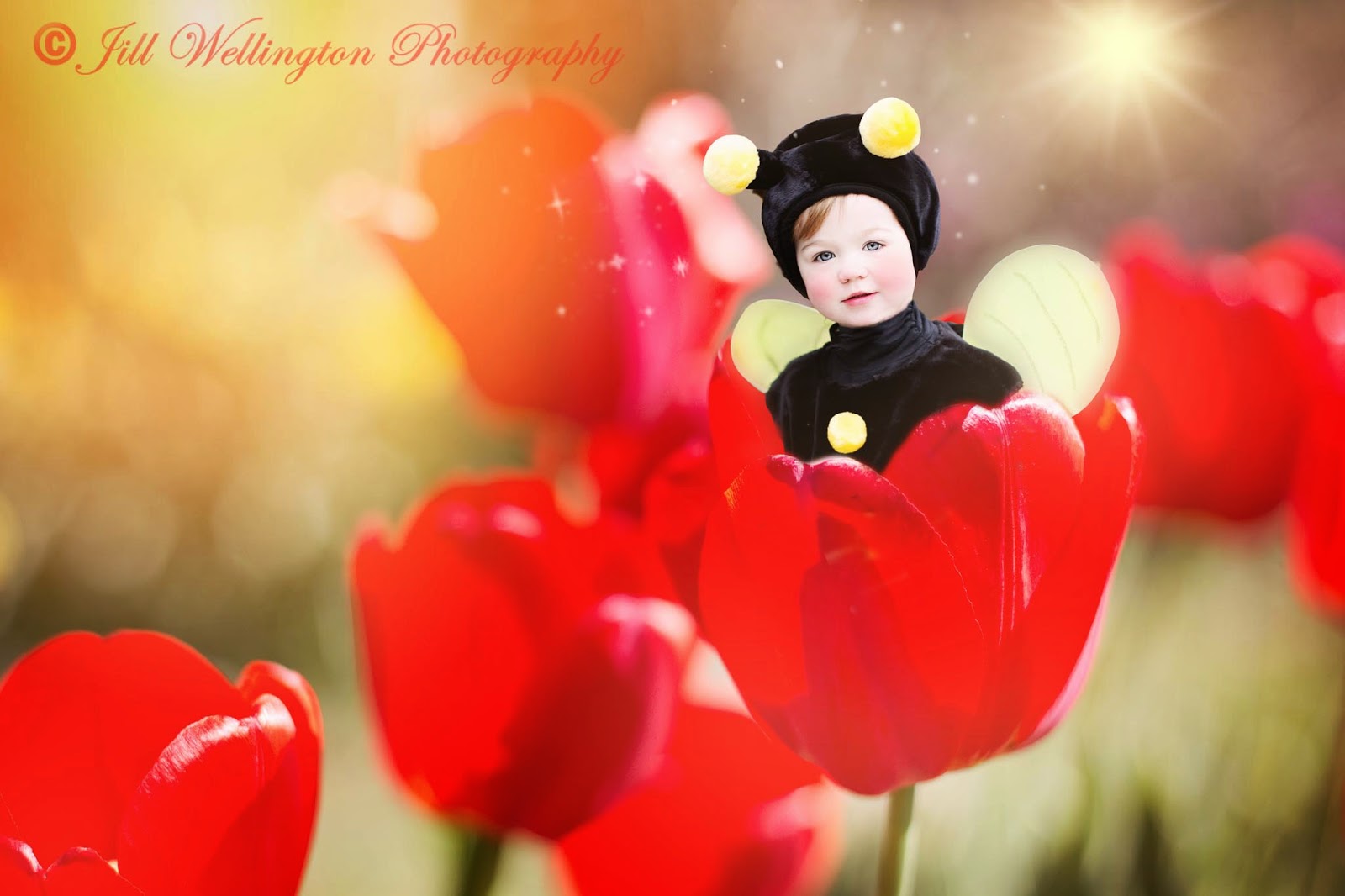 For Photographers Flower Babies