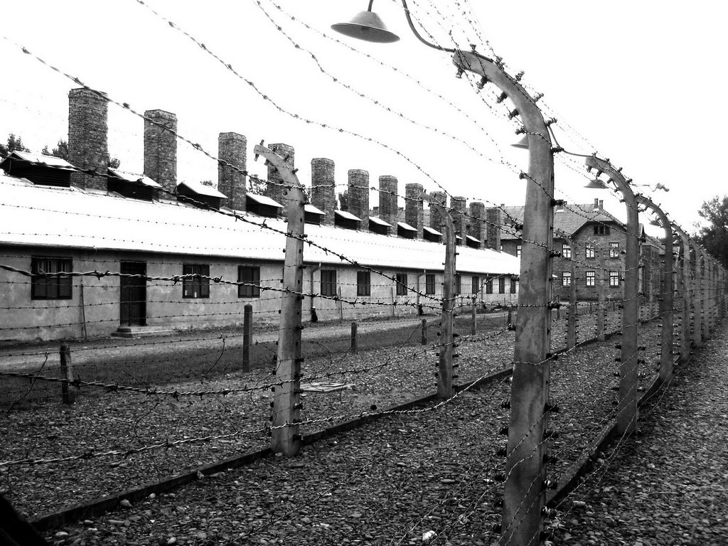 Концлагеря на территории беларуси. Освенцим концентрационный лагерь Аушвиц. Аушвиц Бухенвальд концлагерь. Концентрационный лагерь Бухенвальд.