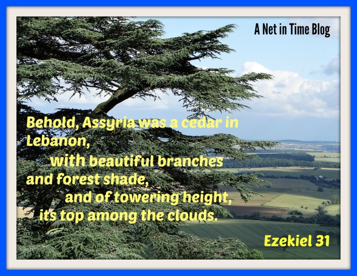 Behold, Assyria was a cedar in Lebanon A Net in Time