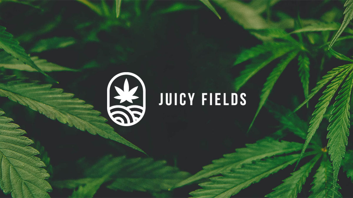 Juicy Fields منصة زراعة القنب الطبي العالمي Juicy Fields منصة زراعة القنب الطبي العالمي