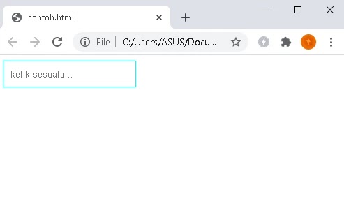 Jenis-jenis selector pada CSS atribut selector