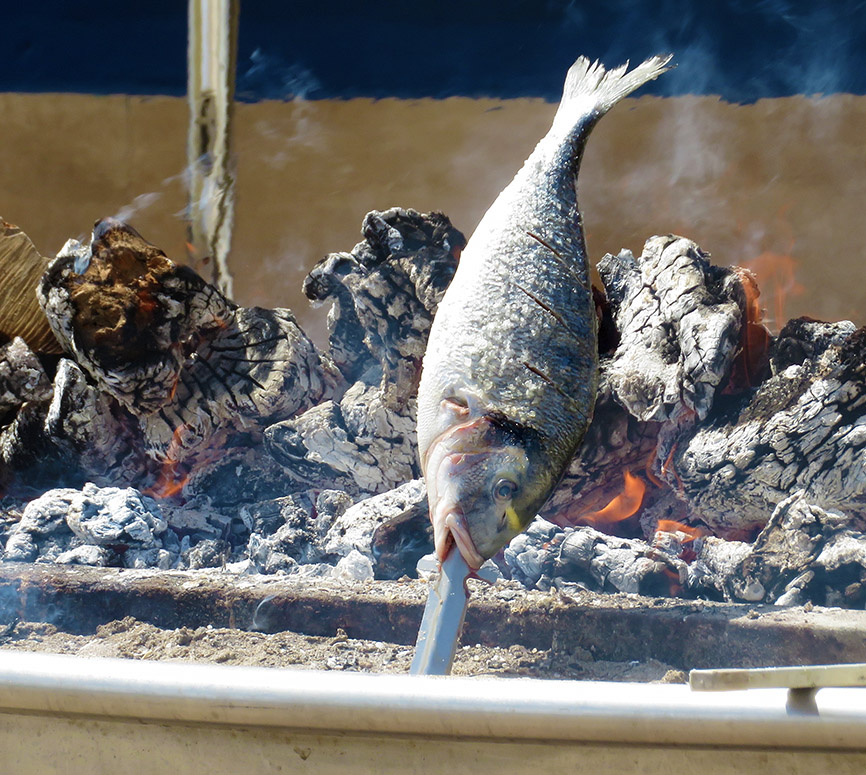 Mitchell is Moving What Does THAT Mean? / ¿Qué Significa ESO?