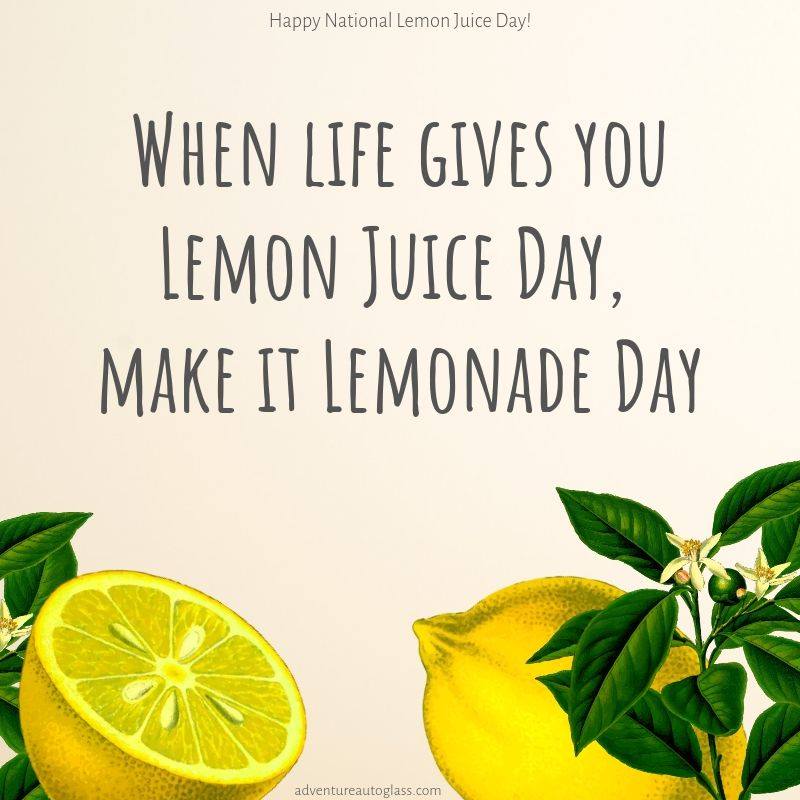 National Lemon Juice Day