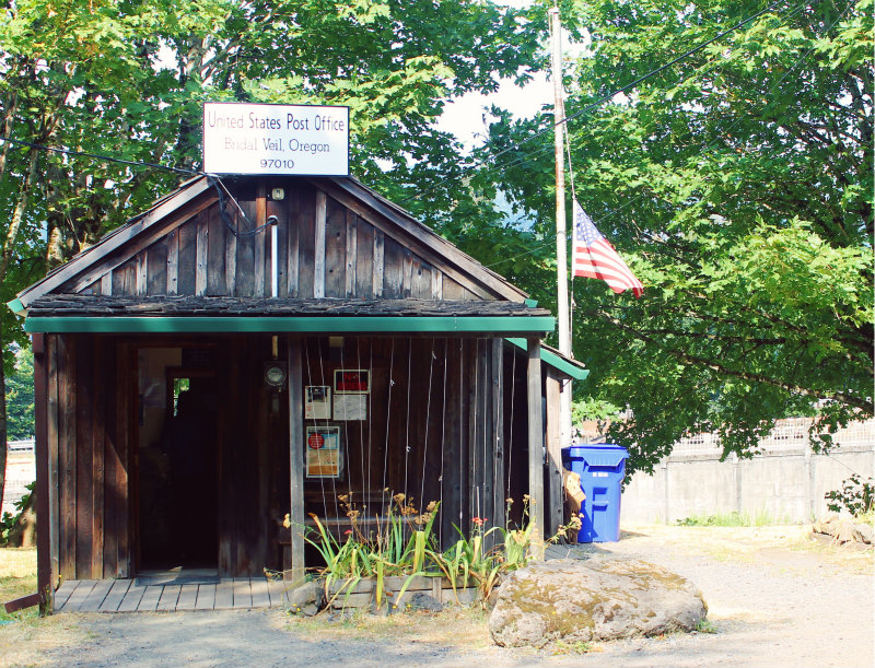 Plant By Water bridal veil oregon.