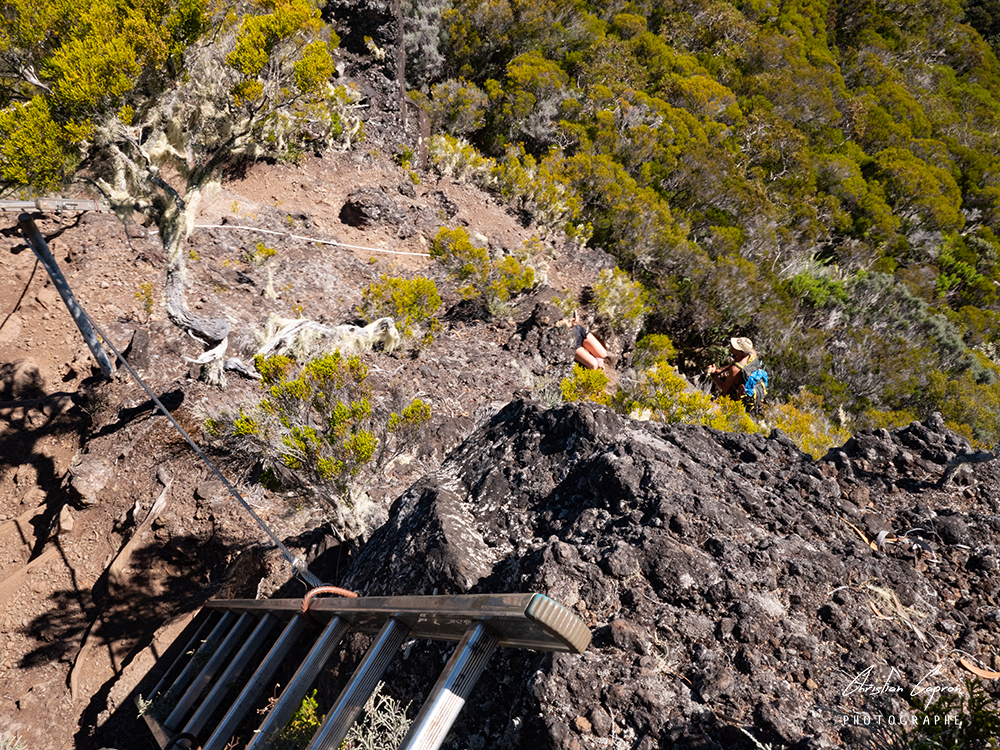 Randos et Photos La Réunion Sentier Jacky Inard par sentier Mal au