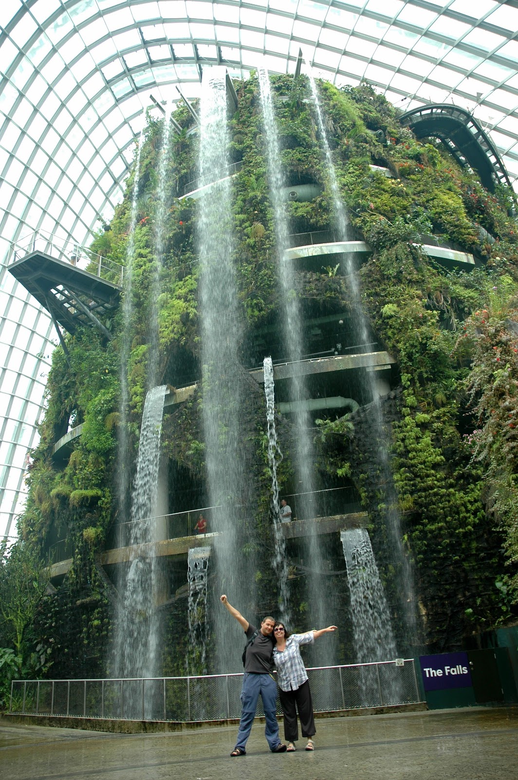 Cloud Forest